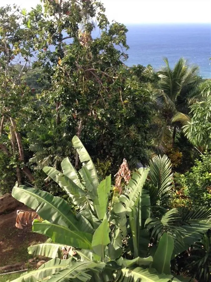 My-Places Montego Bay Vacation Home Apartment